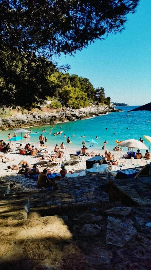 Apartmani Marco,Lukas,Patrick,David,Blizu Centra I Mora Sa Free Privatnim Parkingom Pula Dış mekan fotoğraf