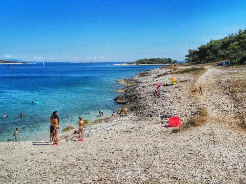 Apartmani Marco,Lukas,Patrick,David,Blizu Centra I Mora Sa Free Privatnim Parkingom Pula Dış mekan fotoğraf